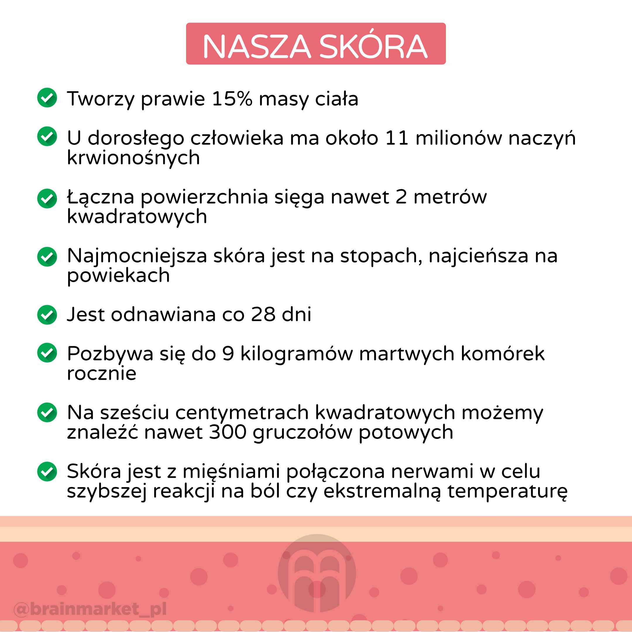 nase kuze_infografika_pl